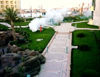 ������� � ��� ������, �������� ����� :)) (����� ����� ���� ��������)