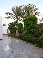 ������� �  ��������� El OBBA