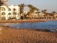 � ������ ������ ��������