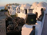 ������ "D"