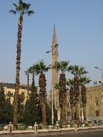 ������ ����