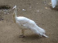 ������� � �����