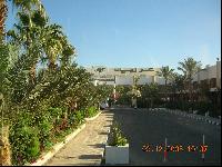 ��� �� �����