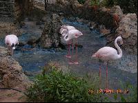 �������� � �� �����