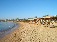 ���� �������� � �����.