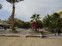 ����� �����