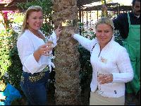 ��� ������ �� ��� ������