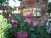 � ��� � ��� ��������