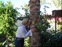 ���������� �������