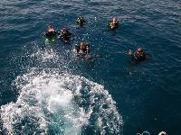 �� ����������� - ������ � �������