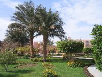 �� ����������