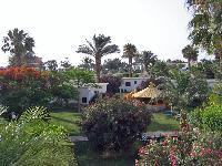 ����� ���� �������