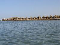 ������� ����.