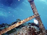 ���-����