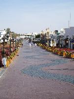 Naama bay by morning