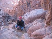 ���� ������