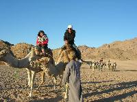  � ������ � ������