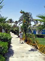 ����������.