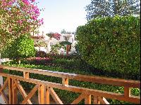 ��� � �������� ������ 351