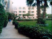 �� �����