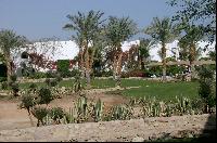 ��� � ������� ����� �����