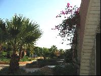 ����� ��������