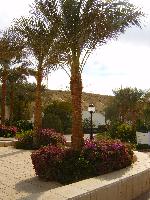 ������� ���