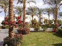 ����-���-����