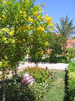 Iberotel Makadi Oasis and Family Resort