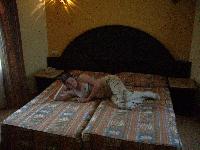 ������ �������