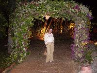 ��������� ����