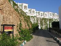 ����� 2 � 3 �������