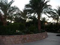 #7 - �������-����� �����