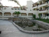 #8 - �������-����������