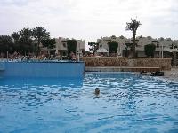 � ������ ��������