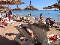 �� �����