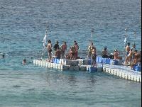 �� �������