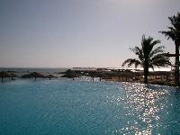 #12 - �������-����������