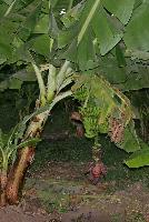 ��������� ������