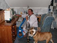 #17 - �������-����������