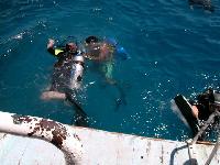 #19  - �������-����������