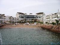 ������ ������ 2006