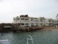 ������ ��� 2006