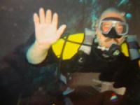 #21 - �������-����������