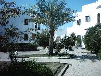 ��� ����