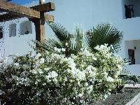 ��� ����