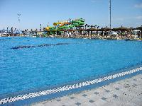 Golden 5 ��������