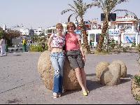 ���� ��� ����