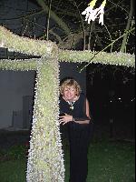 ������������ ������