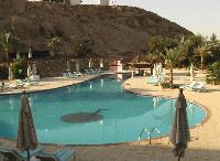 ������ - "��������"